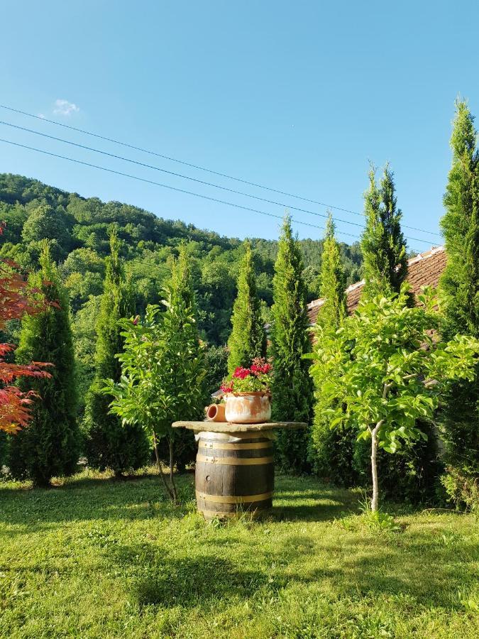 Family Hotel Chiflik Hills Dış mekan fotoğraf